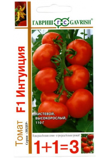Tomato "Intuition" F1 (1+1=3)