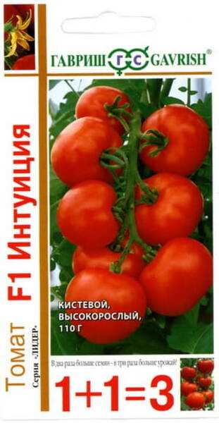 Tomato "Intuition" F1 (1+1=3)