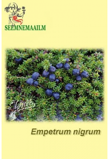 Black crowberry