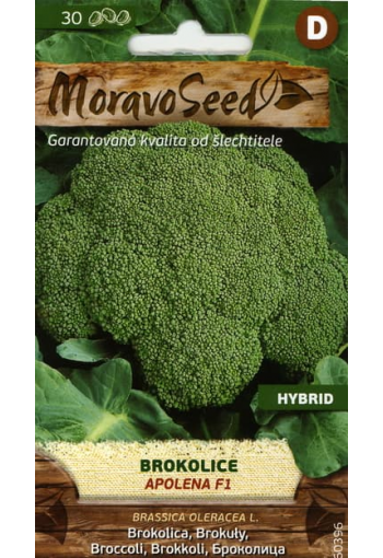 Broccoli "Apolena" F1