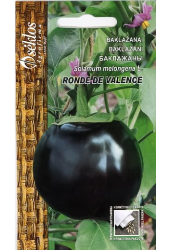 Eggplant "Ronde de Valence"