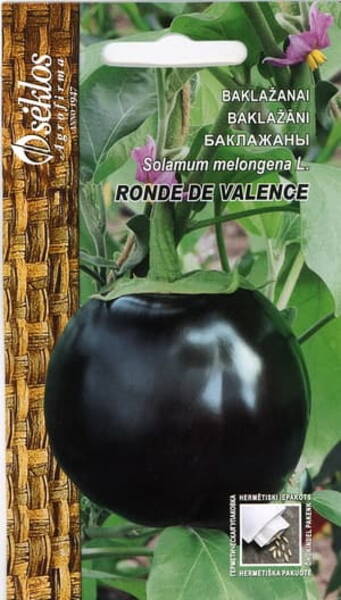 Eggplant "Ronde de Valence"