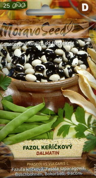 Dwarf shell bean "Yin Yang"