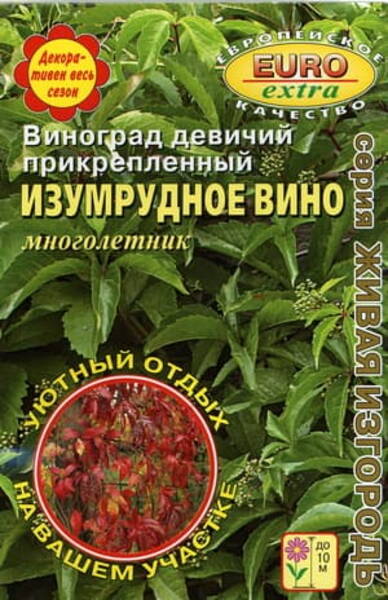 Madal metsviinapuu "Izumrudnoe Vino" Parthenocissus inserta