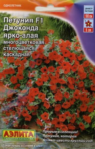 Petunia "Gioconda Bright red" F1 Petunia "Gioconda Bright red" F1