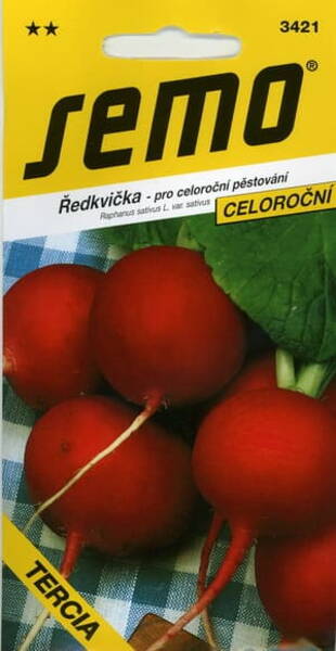 Radish "Tercia"