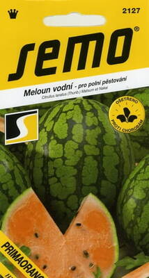 Vesimeloni "Primaorange" F1