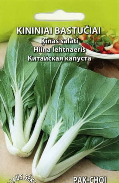 Cabbage "Pak-Choi"