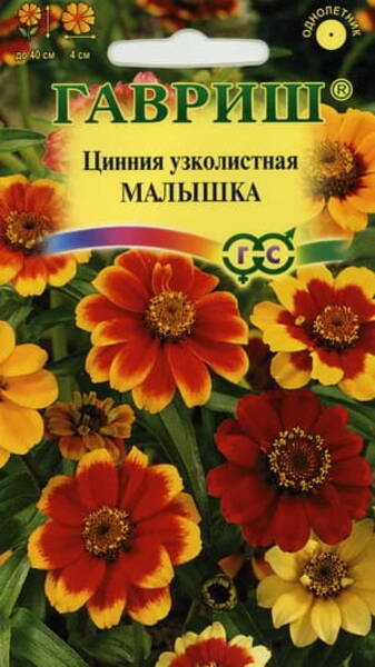 Narrow-Leaf zinnia "Baby"