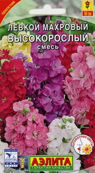 Hoary Stock double "Tall" (mix)