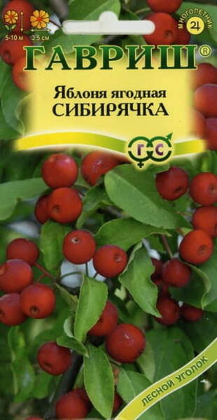 Äppelträd sibiriskt "Sibirjachka" (bärapel)