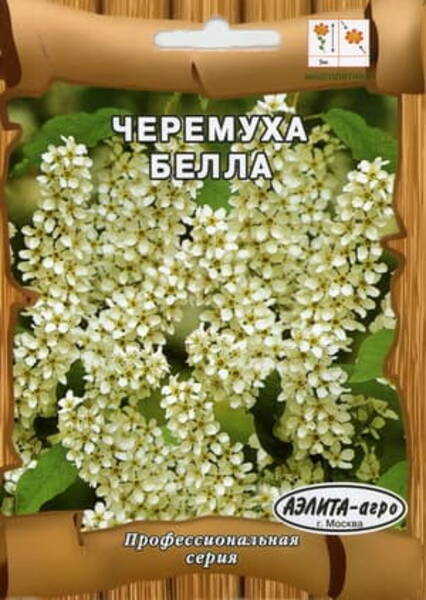 Черёмуха Маака "Белла" (Padus maackii)