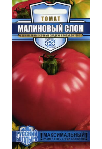 Tomato "Malinovy Slon"