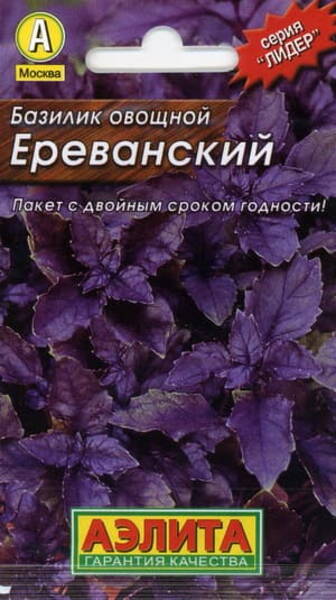 Albahaca morada "Ereván"