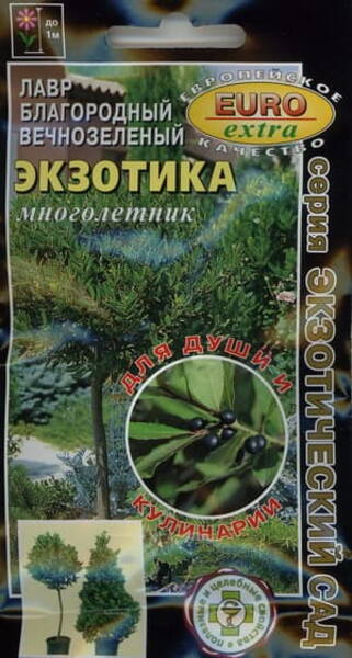 Laurel Noble "Exótica"