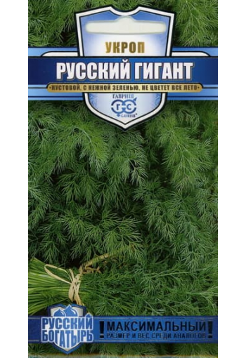 Dill "Russky Gigant"