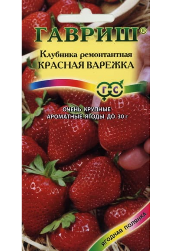 Aedmaasikas remontantne "Krasnaja Varezhka"