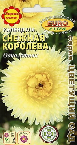 Calendula "Snow Queen"