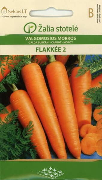 Carrot "Flakkee 2"