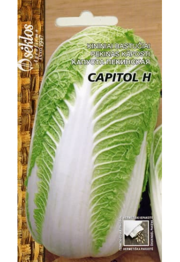 Chinese cabbage "Capitol" F1 (Beijing cabbage)