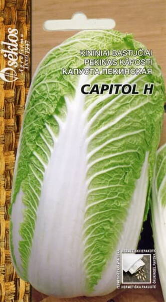 Chinese cabbage "Capitol" F1 (Beijing cabbage)