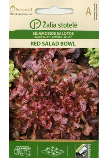 Lehtsalat tammelehine "Red Salad Bowl"