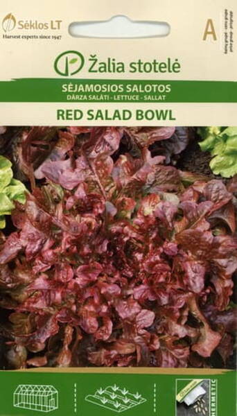 Lehtsalat tammelehine "Red Salad Bowl"