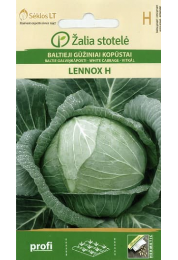 White cabbage "Lennox" F1