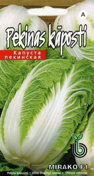 Chinese cabbage "Mirako" F1