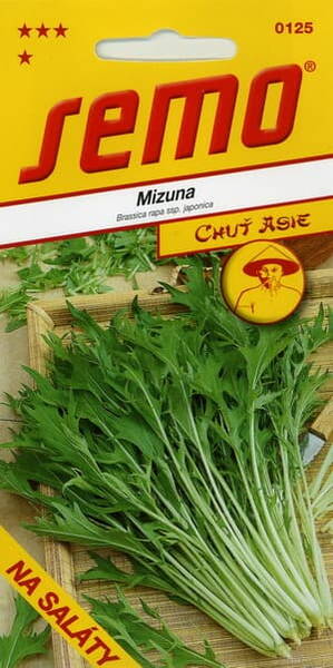 Капуста японская листовая "Мизуна" /200 g/ Капуста японская листовая "Мизуна" /200 g/