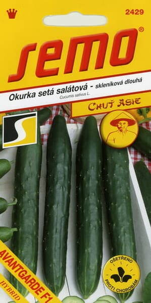 Salad cucumber "Avantgarde" F1