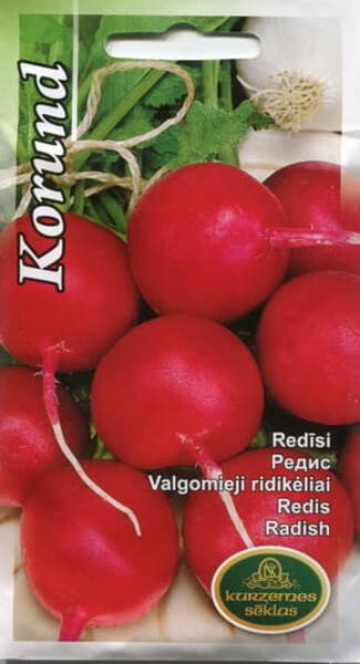 Radish "Korund"