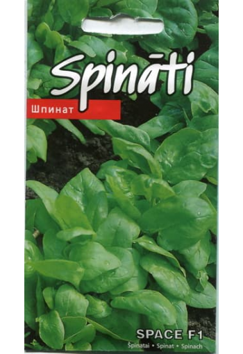 Spinach "Space" F1 