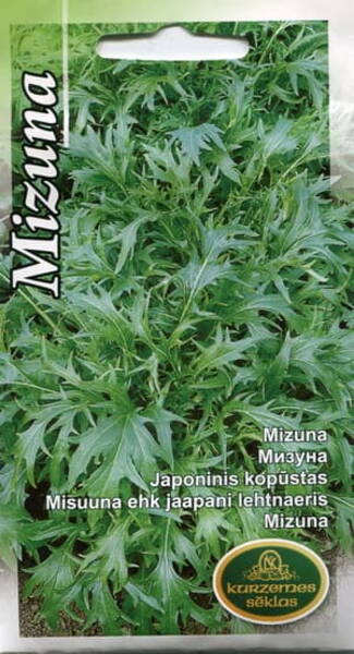 Japanese mustard "Mizuna" (Japanese green salad Xiu Cai)