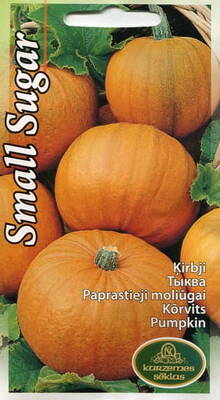 Kõrvits "Small Sugar"