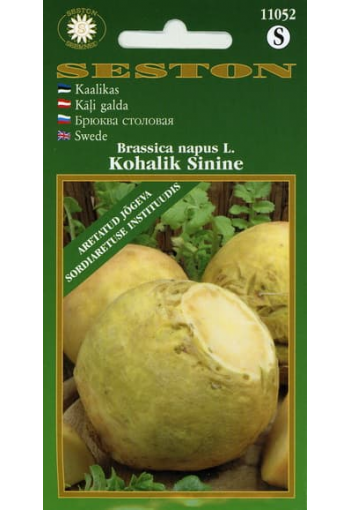 Swede "Kohalik Sinine" (Swedish turnip)