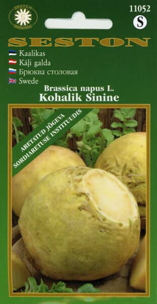 Kaalikas "Kohalik Sinine"