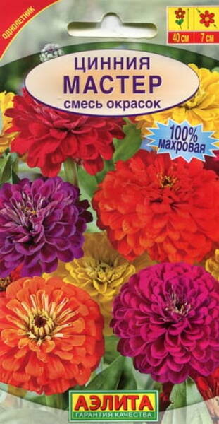 Zinnia elegans "Master" (mix) 