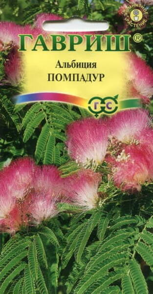 Lenkorani siidakaatsia "Pompadoure" Albizia julibrissin