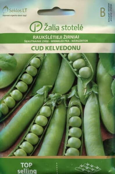 Green pea "Kelvedon Wonder"