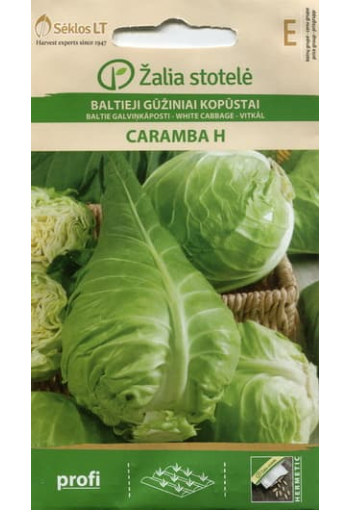 White oxeheart cabbage "Caramba" F1