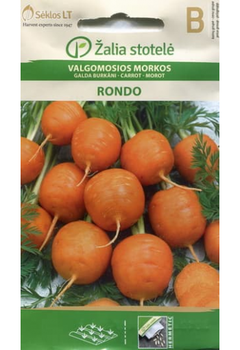 Carrot "Rondo"