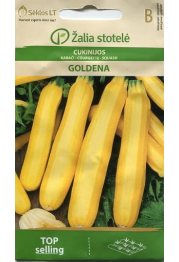 Courgette Zucchini "Goldena"