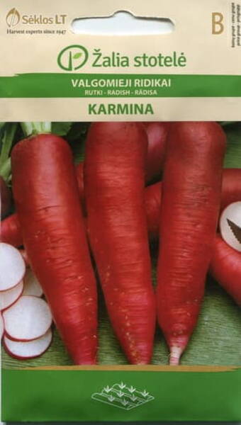 Radish "Karmina"