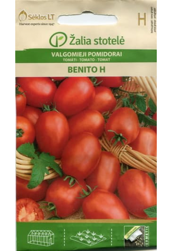 Tomaatti "Benito" F1