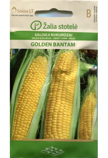 Sweet corn "Golden Bantham"