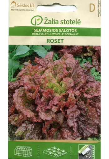 Leaf lettuce "Roset"