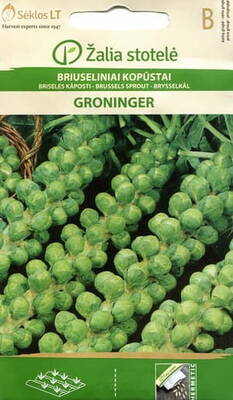 Brysselkål "Gröninger"