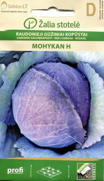 Red cabbage "Mohykan" F1