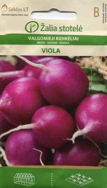 Radish "Viola"